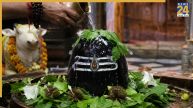 Shiv Ji and Bhang: क्या है शिव जी और भांग का संबंध? जानिए इसके पीछे की पौराणिक कथा और इतिहास