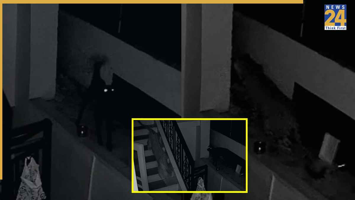 Leopard Attack Cctv Video