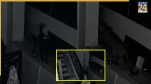 Leopard Attack Cctv Video