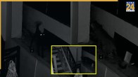 Leopard Attack Cctv Video