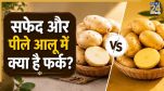White yellow potato difference