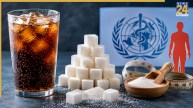 WHO daily free sugar intake guidelines