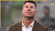 david warner