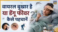 dengue symptoms