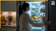 refrigerator tips