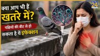 Histoplasmosis Fungal Infection