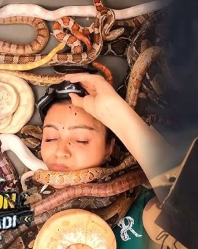 किस-किस कंटेस्टेंट्स के बीच हुआ स्टंट