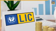 LIC OFS News: LIC में पार्टनर बनने का बड़ा मौका! सरकार बेच रही 6.5% हिस्सेदारी, 382 रुपये तय हुआ फ्लोर प्राइस