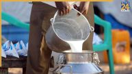 Milk Price Hike Alert: 11 अगस्‍त से महंगा होगा दूध! गाय और भैंस दोनों के दूध पर बढ़ेंगे दाम