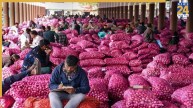onion mandi