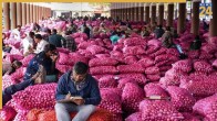 onion mandi