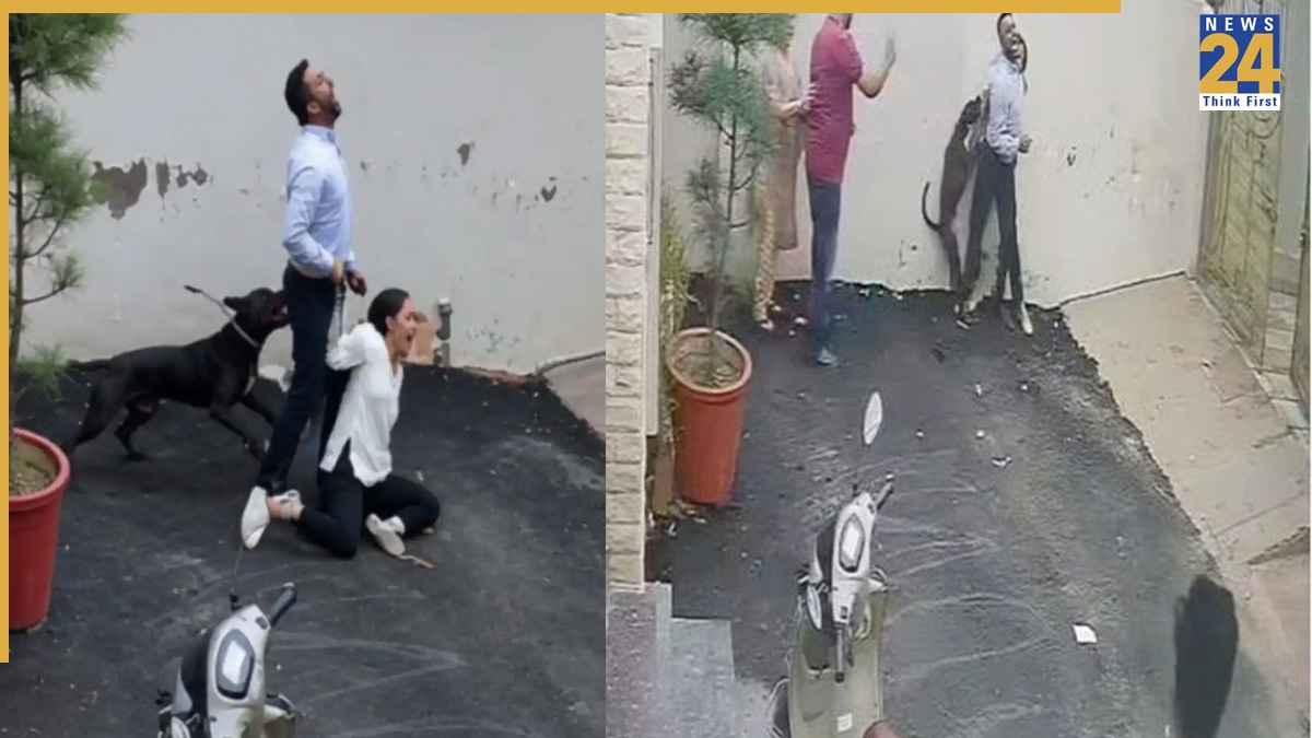 पालतू पिटबुल भी खतरनाक, पटियाला में किराए के लिए घर देखने गए दंपत्ति पर किया हमला
