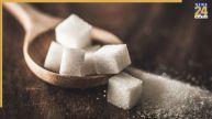 Sugar price per kg in India market background