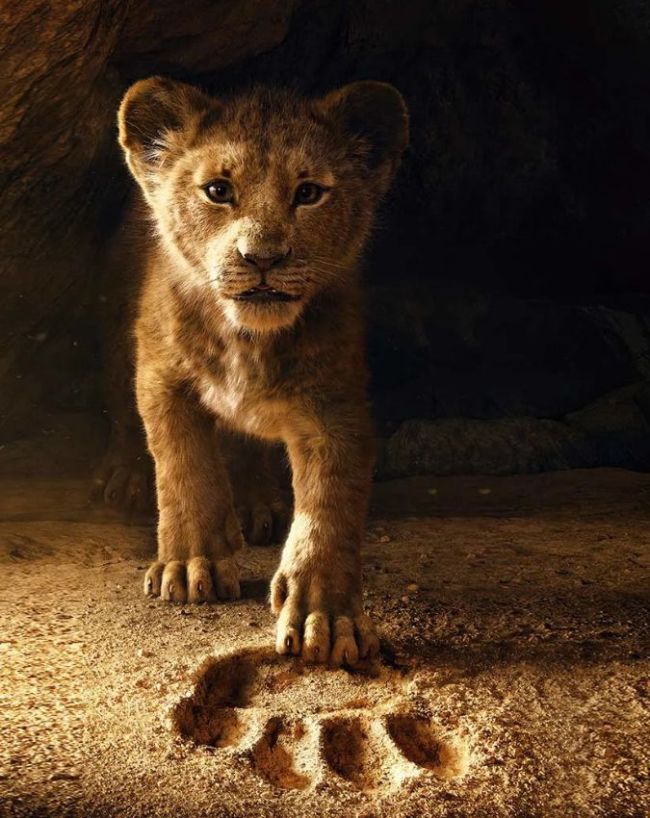 Top 10 Highest Grossing Movies-1-2-3-4-5-6-7-8-9-10-11