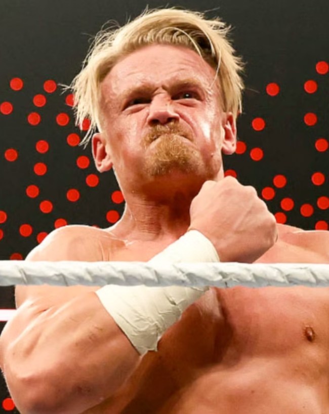 कब की थी WWE में एंट्री?