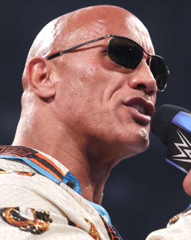 WWE में मिला है बड़ा रोल