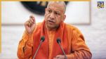 Yogi cabinet