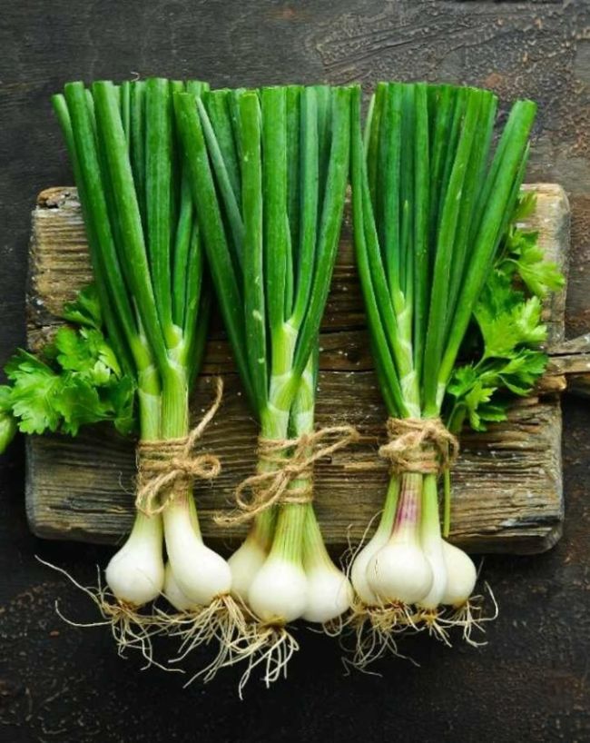 Green Onion Planting Tips-1-2-3-4