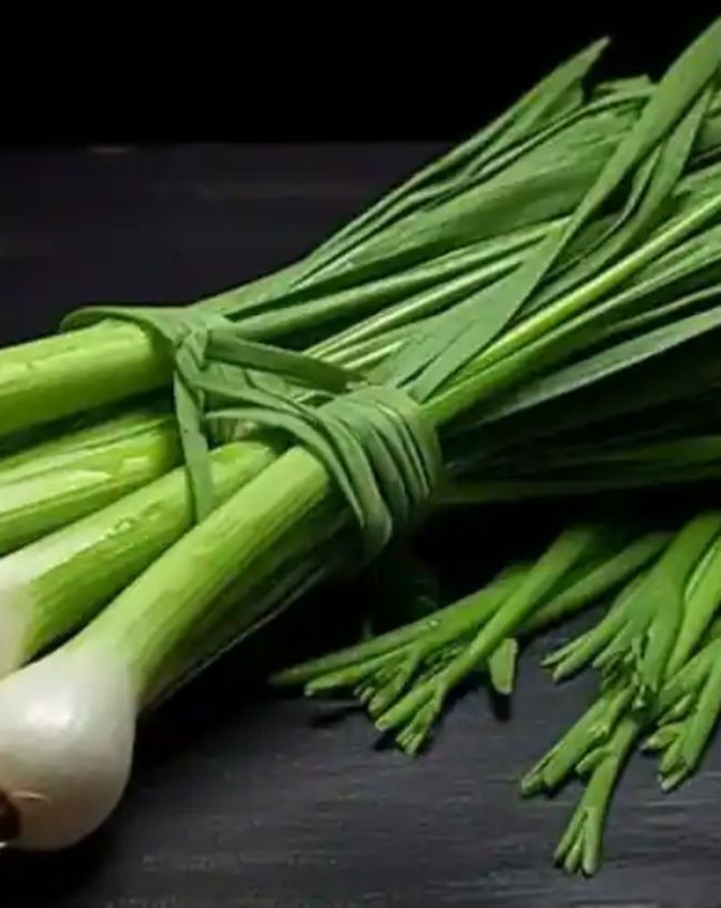 Green Onion Planting Tips-1-2-3-4-5-6