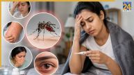 Dengue Kyu Hota Hai