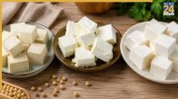 difference between paneer tofu analog paneer