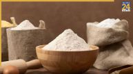 Fake Wheat Flour