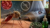 Malaria is Caused by Which Virus