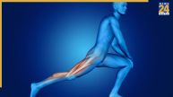 Physical Changes During Puberty explain who