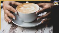 you are making with your coffee expert explain 