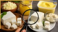 how to identify real or fake