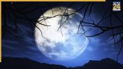 Why does moonlight follow you
