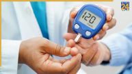 diabetes risk frontiers of nutrition study research 