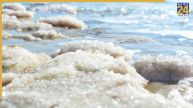 Sea Water Salty