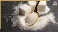 Fake or Real Sugar