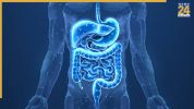 prebiotic foods