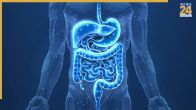 prebiotic foods