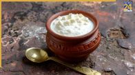 What happens when you eat curd daily doctor explain 