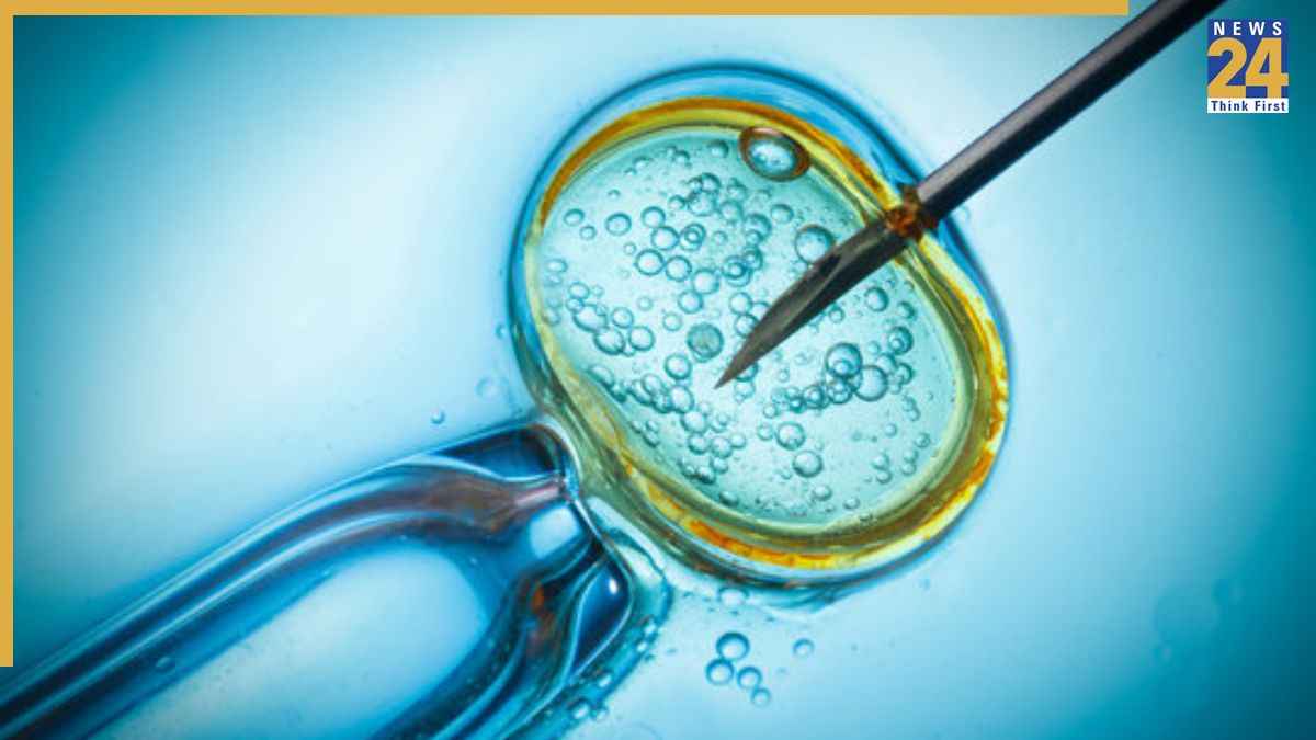 IVF में आए बदलावों से कितना आसान हुआ फर्टिलिटी ट्रीटमेंट? ICMR ने बताया कपल्स को पता होना चाहिए ये बातें