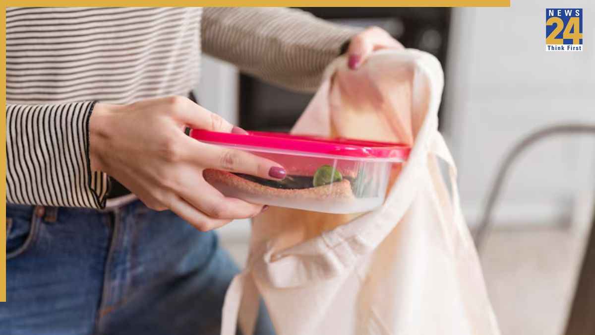 Lunch Bag Care: गंदे और बदबूदार लंच बैग को बिना पानी ऐसे करें साफ, मिनटों में हो जाएगा फ्रेश