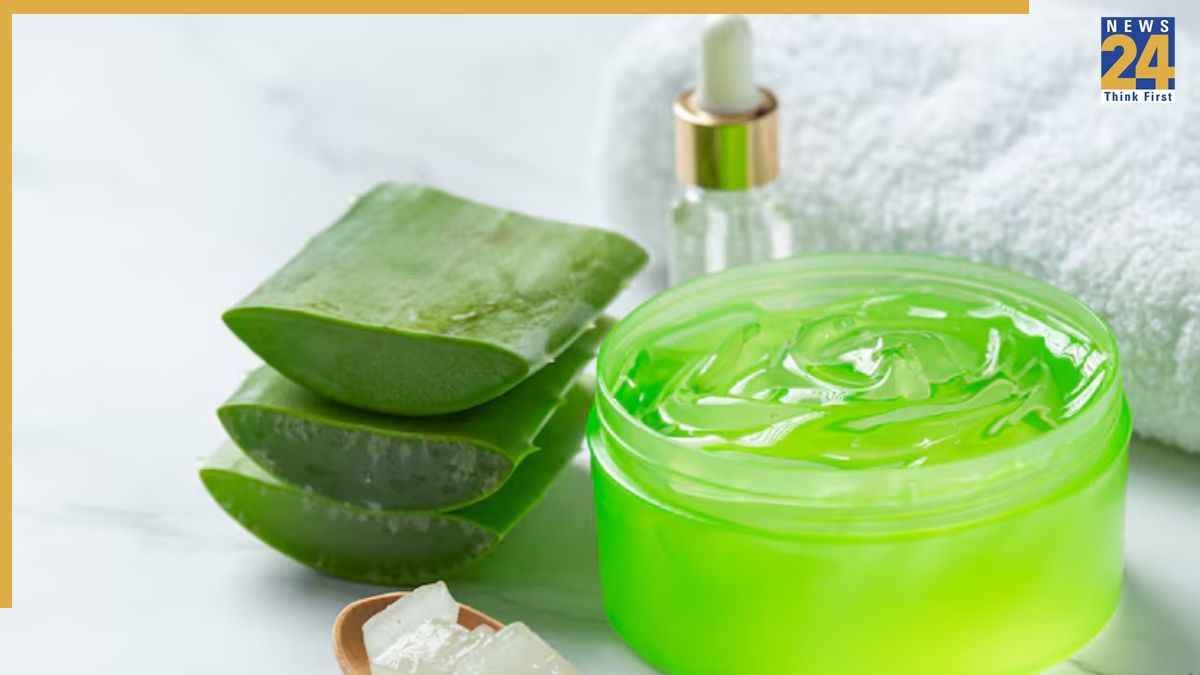 Hair Care: बाजार का शैंपू छोड़िए, अब घर पर तैयार करें एलोवेरा शैंपू, यहां जानिए आसान तरीका