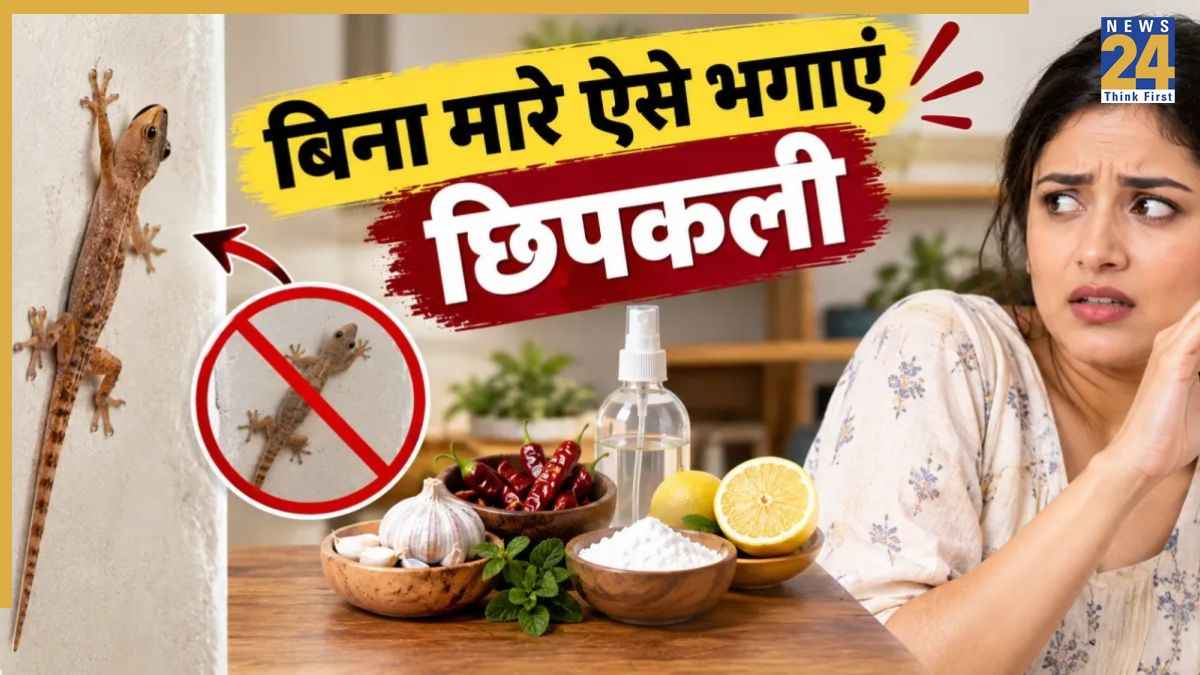 how to get rid of lizards at home