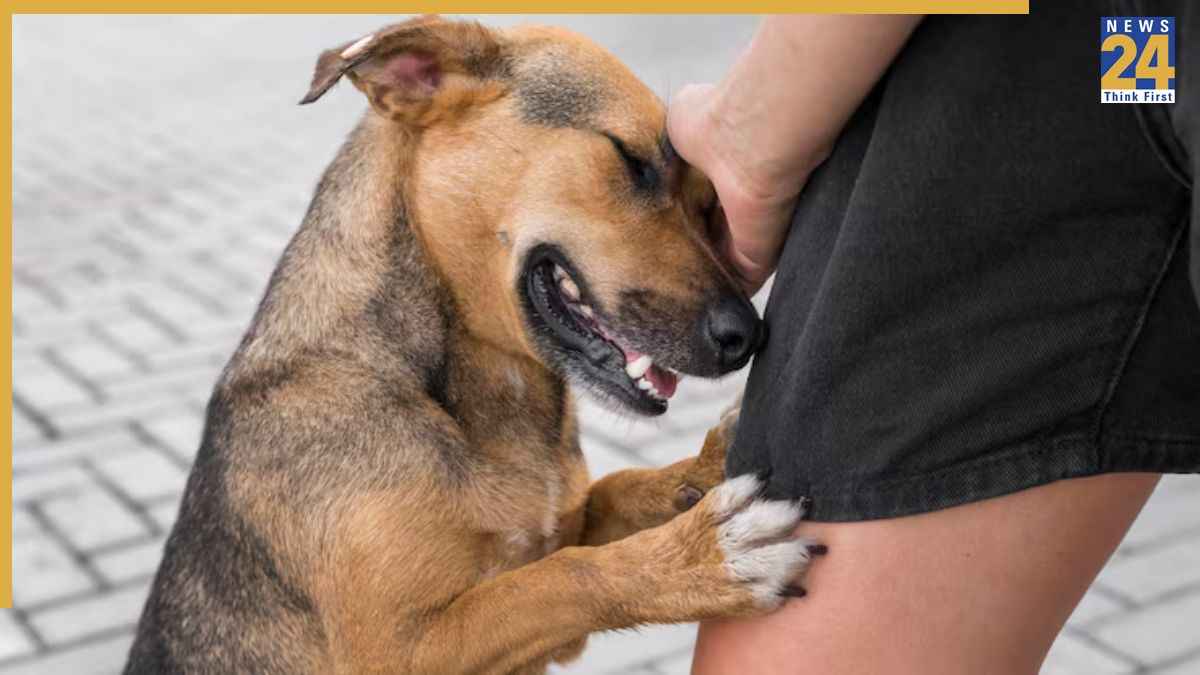 animals which are carrier of rabies