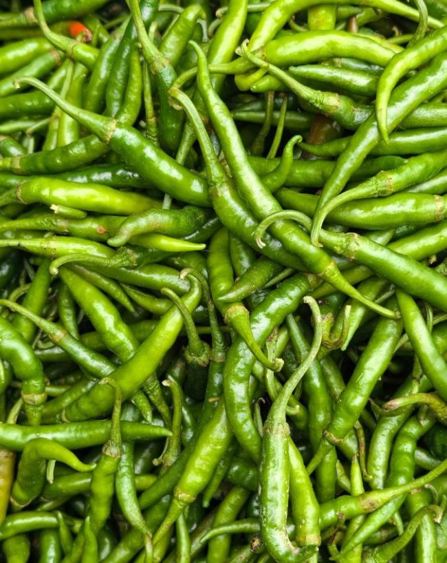 हरी मिर्च भी है विटामिन सी का स्त्रोत 