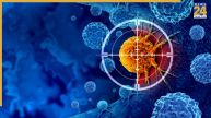 13 types of cancer risk know the facts 
