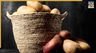 Potatoes Turning Black