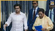 मायावती की कार्रवाई के बाद आकाश आनंद को NDA की पार्टी से ऑफर, चुनाव से पहले बदलेगी सियासत?