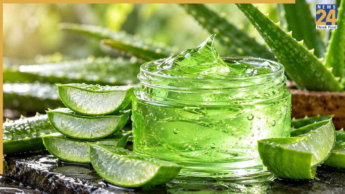 अब बाजार का केमिकल वाला Aloe Vera Gel भूल जाइए! घर पर ही आसानी से मिनटों में तैयार होगा फ्रेश जेल