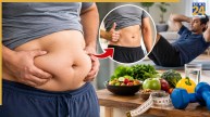 Harvard Health Belly Fat Reduction Tips