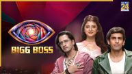 bigg boss 20 popular top 5 contestants