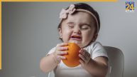 Baby Food Habits